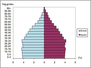 İki Bin On Üç Türkiye Nüfusu
