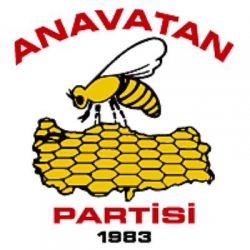 Genel seçimler Anavatan Partisi tek başına iktidar