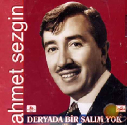 Ahmet Sezgin hayatını kaybetti
