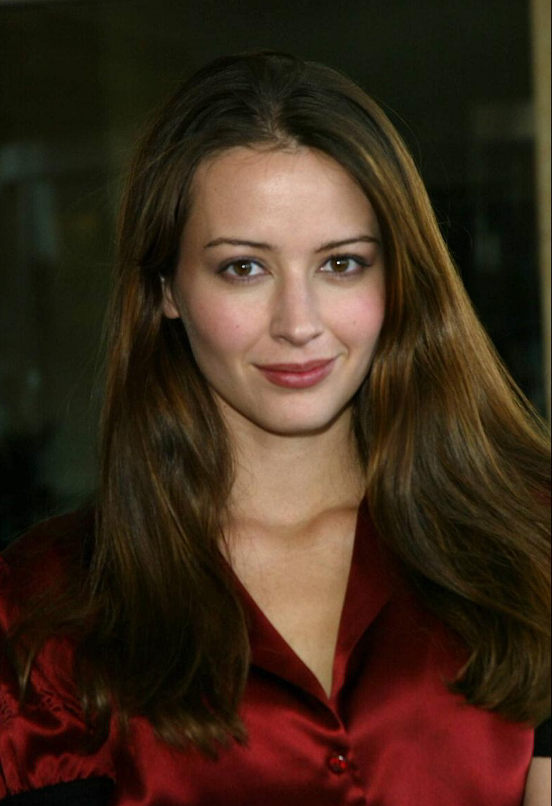 Amy Acker Doğum Tarihi Yaşı