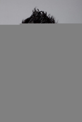 Baptiste Giabiconi Doğum Günü