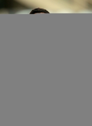 David Pizarro futbolcu Doğumu