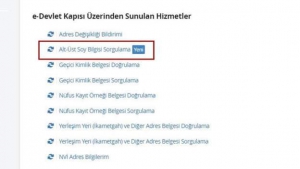 E-Devlet üzerinde Alt-üst Soy Bilgisi Sorgulama