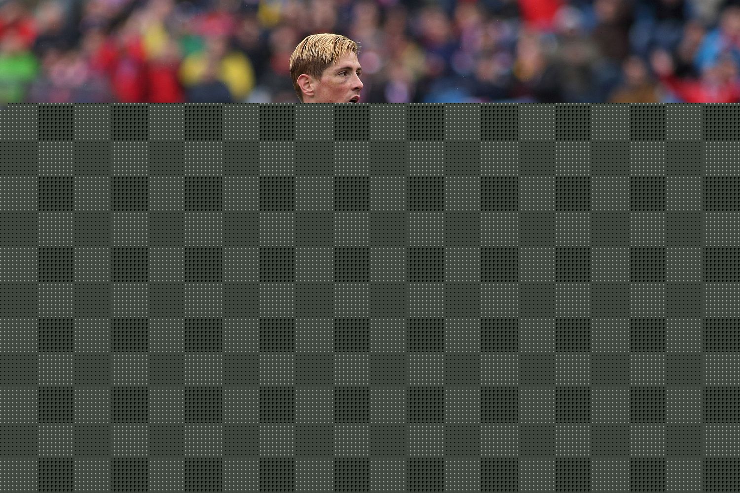 Fernando Torres Doğumu