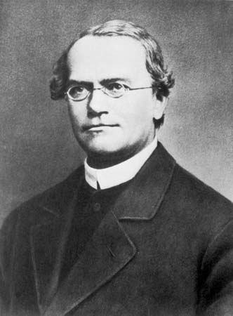 Gregor Mendel Doğum Günü