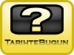 Türkiyede entimolojik bulguların kullanıldığı ilk vaka