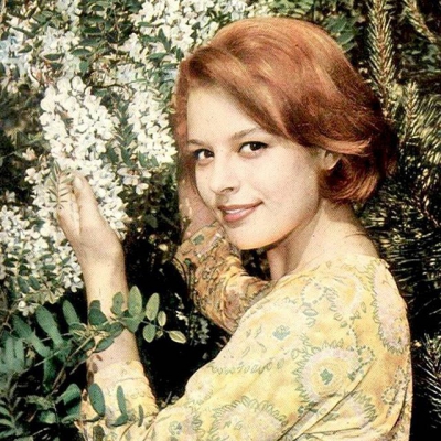 Hülya Koçyiğit Ne Zaman Doğdu