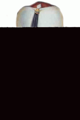 Osmanlı Padişaı I Ahmet kimdir doğum tarihi