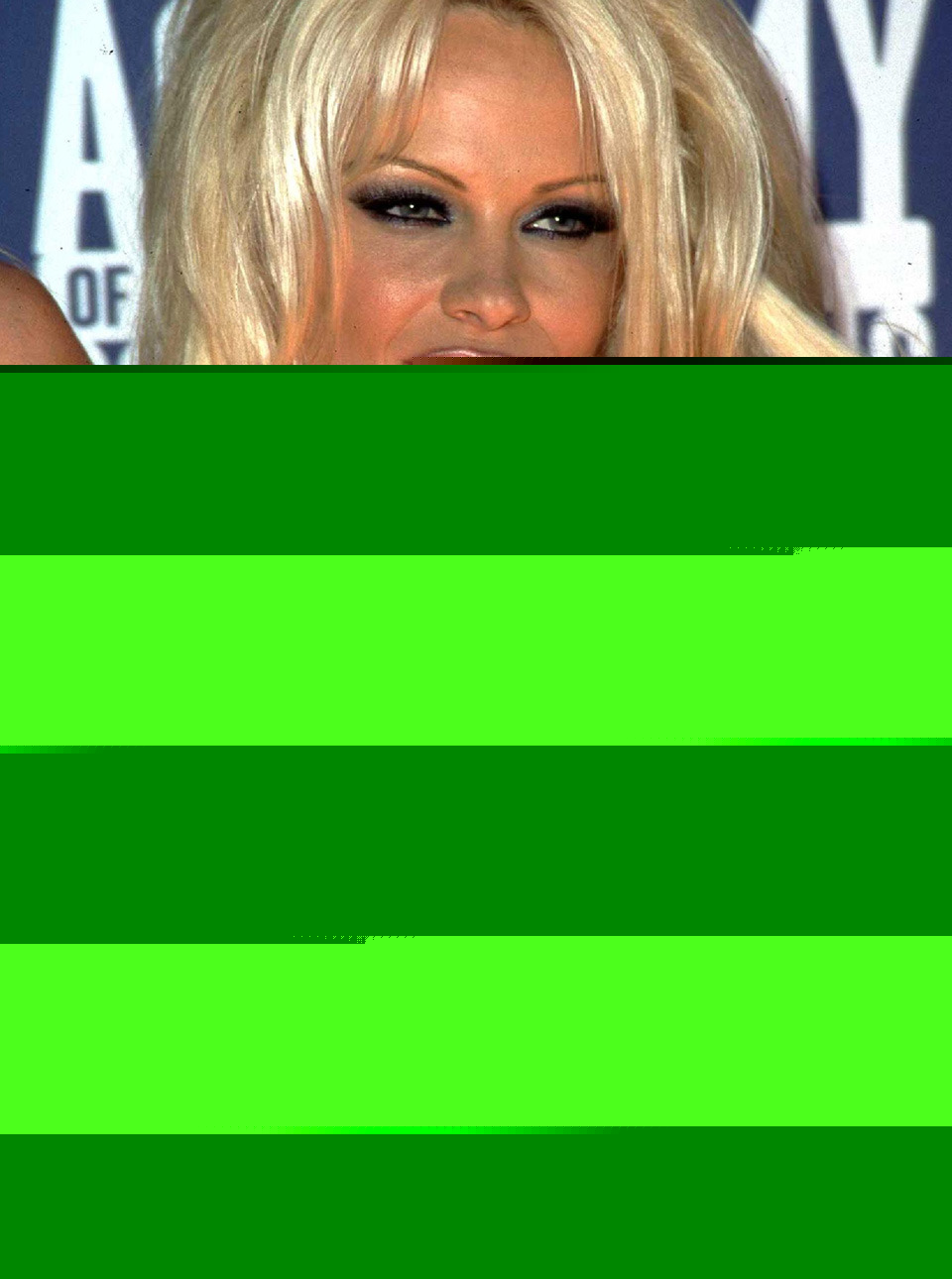 Pamela Anderson Doğum Günü