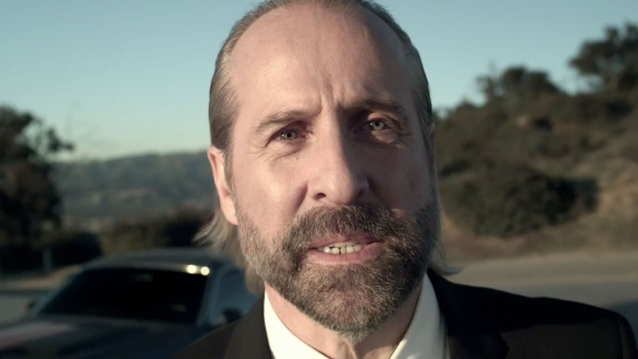 Peter Stormare Doğum Günü