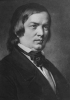 Robert Schumann Hayatını Kaybetti
