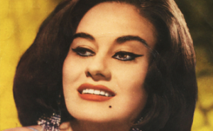 Sevim Çağlayan Kimdir Doğum Tarihi