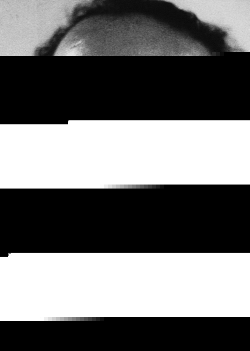 Tahir Alangu Doğum Tarihi