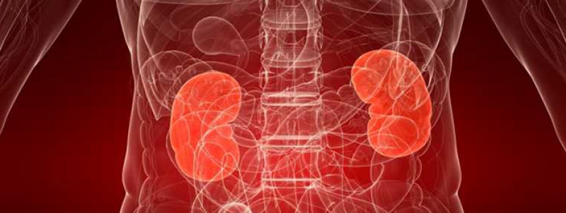 Türkiye de ilk böbrek nakli gerçekleştirildi